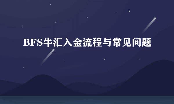 BFS牛汇入金流程与常见问题