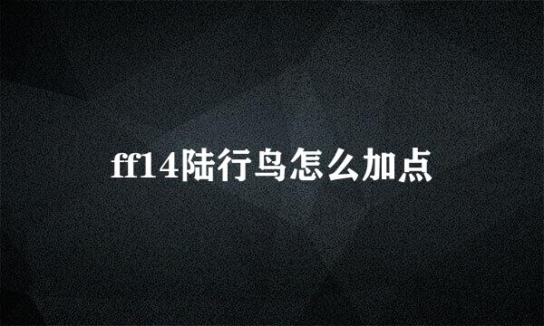 ff14陆行鸟怎么加点