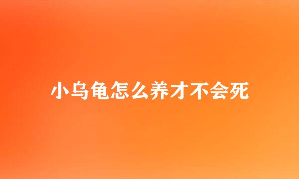 小乌龟怎么养才不会死