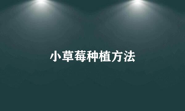 小草莓种植方法