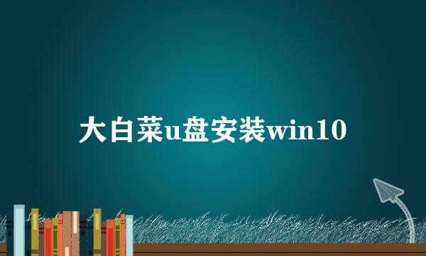 大白菜u盘安装win10