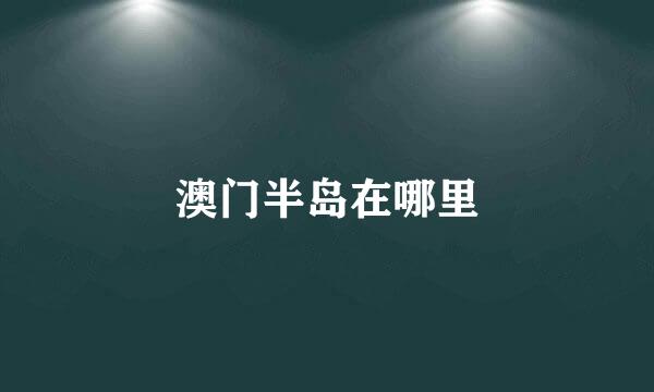 澳门半岛在哪里
