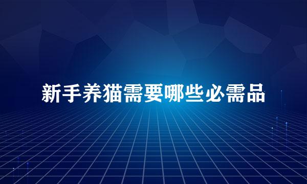 新手养猫需要哪些必需品