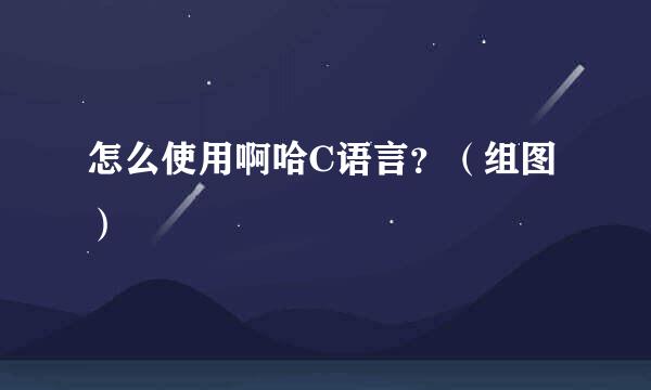 怎么使用啊哈C语言？（组图）