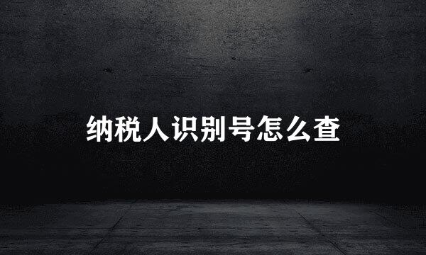 纳税人识别号怎么查