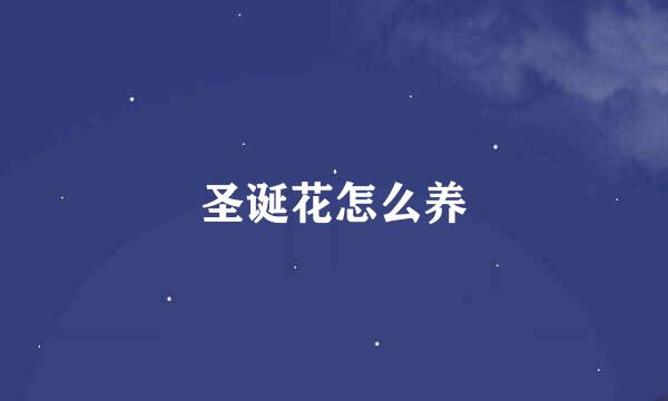 圣诞花怎么养
