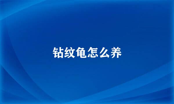 钻纹龟怎么养
