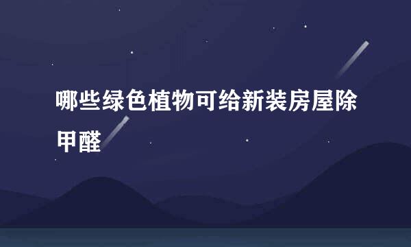 哪些绿色植物可给新装房屋除甲醛