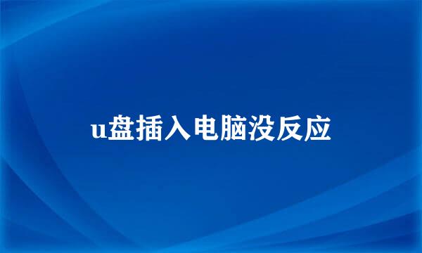 u盘插入电脑没反应