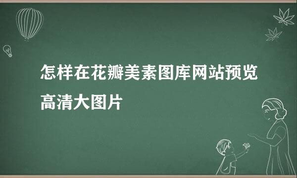 怎样在花瓣美素图库网站预览高清大图片