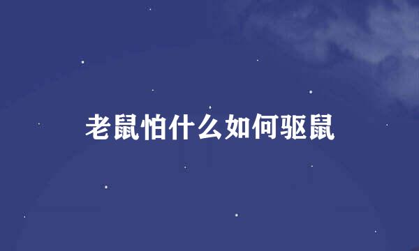 老鼠怕什么如何驱鼠