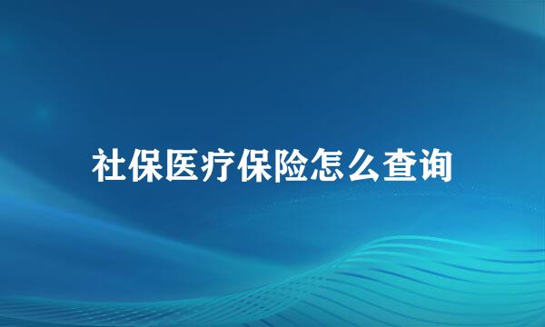 社保医疗保险怎么查询