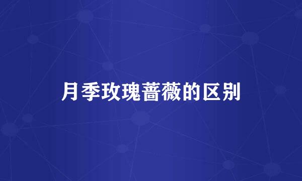 月季玫瑰蔷薇的区别