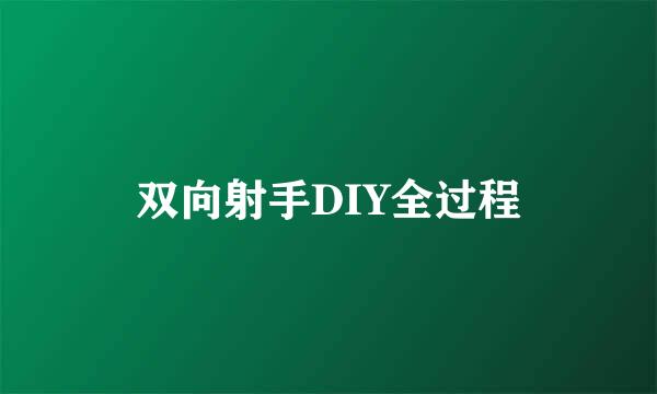 双向射手DIY全过程
