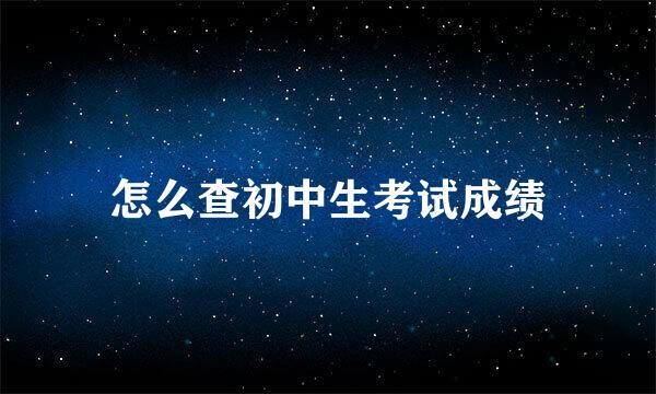 怎么查初中生考试成绩