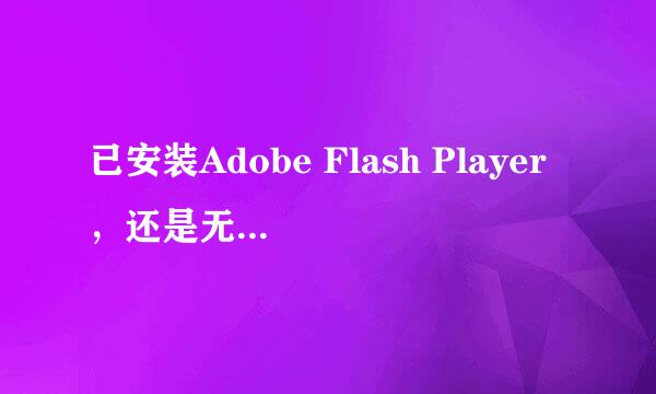 已安装Adobe Flash Player，还是无法显示动画