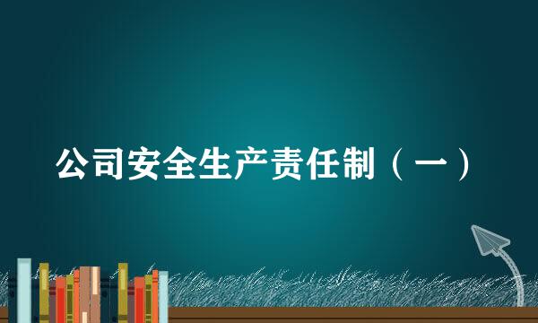 公司安全生产责任制（一）