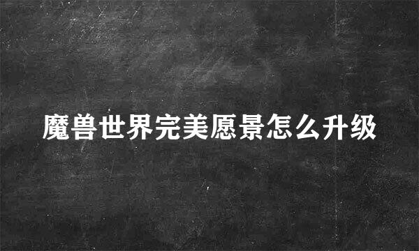 魔兽世界完美愿景怎么升级