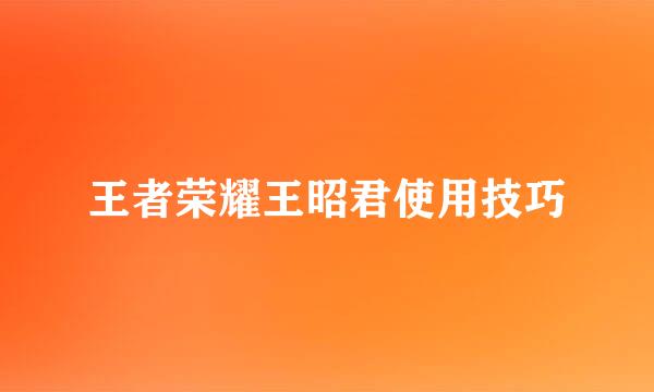 王者荣耀王昭君使用技巧