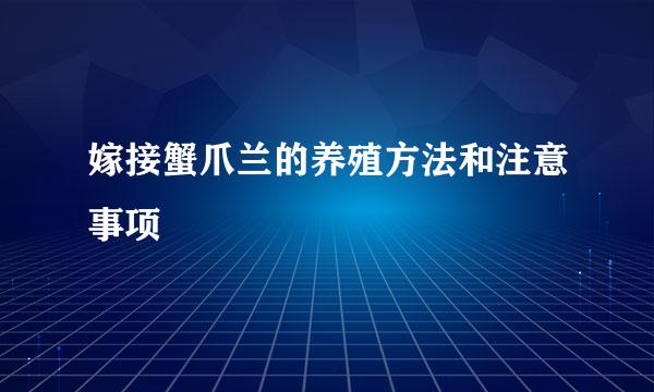 嫁接蟹爪兰的养殖方法和注意事项