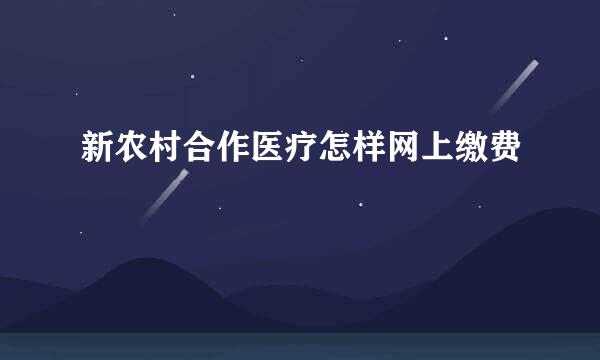 新农村合作医疗怎样网上缴费