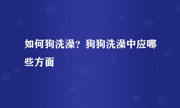 如何狗洗澡？狗狗洗澡中应哪些方面