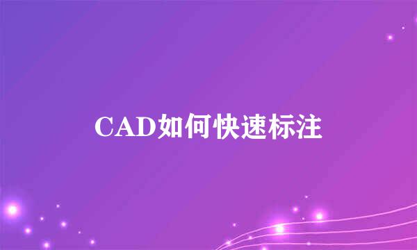 CAD如何快速标注