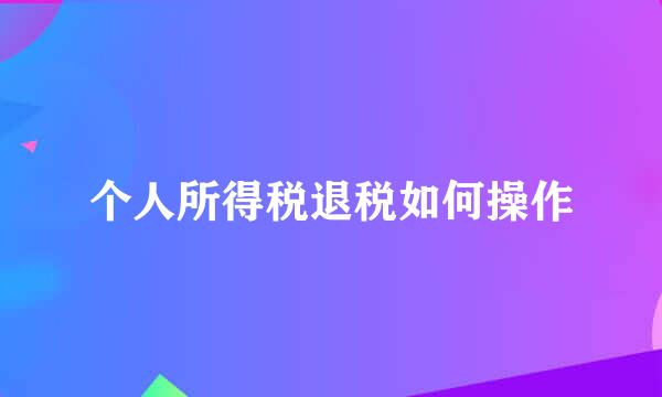 个人所得税退税如何操作