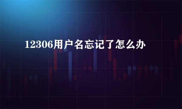 12306用户名忘记了怎么办