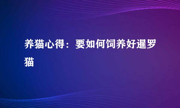 养猫心得：要如何饲养好暹罗猫