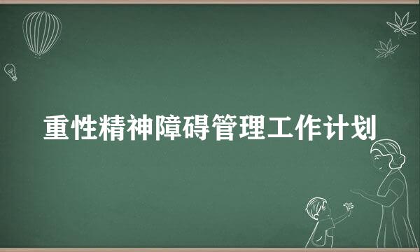 重性精神障碍管理工作计划