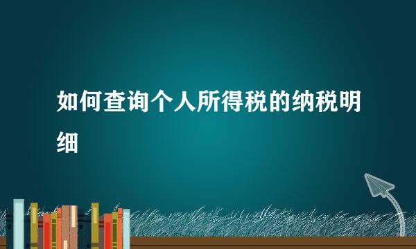 如何查询个人所得税的纳税明细