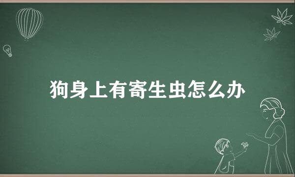 狗身上有寄生虫怎么办