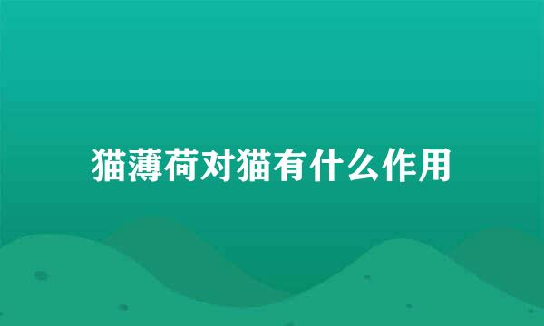 猫薄荷对猫有什么作用