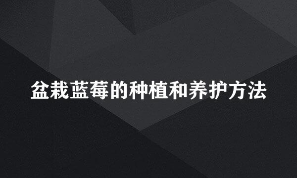 盆栽蓝莓的种植和养护方法