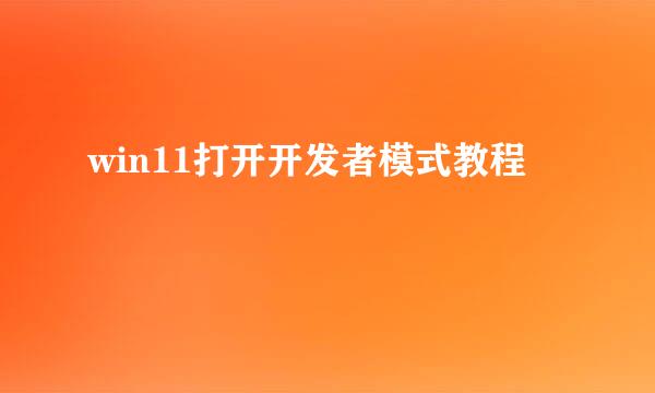 win11打开开发者模式教程