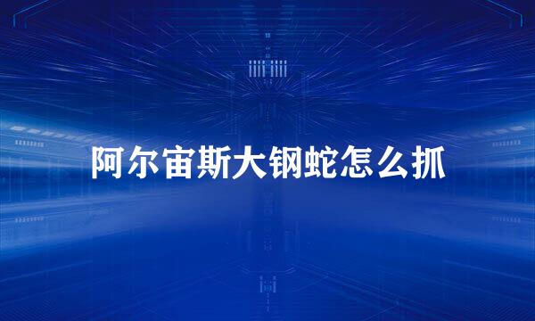 阿尔宙斯大钢蛇怎么抓