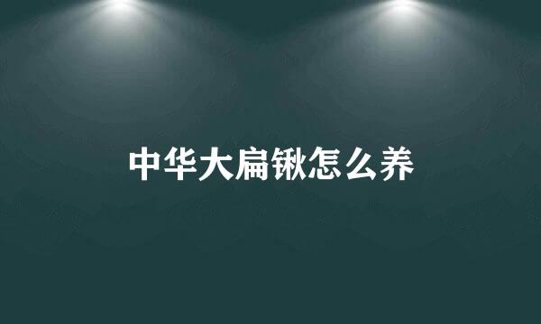 中华大扁锹怎么养