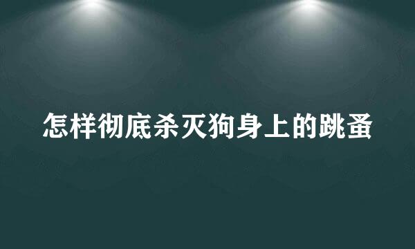 怎样彻底杀灭狗身上的跳蚤