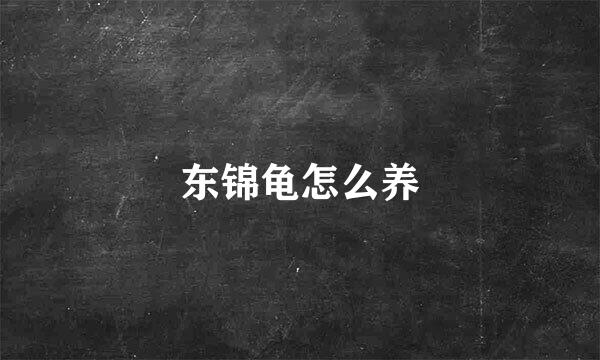 东锦龟怎么养