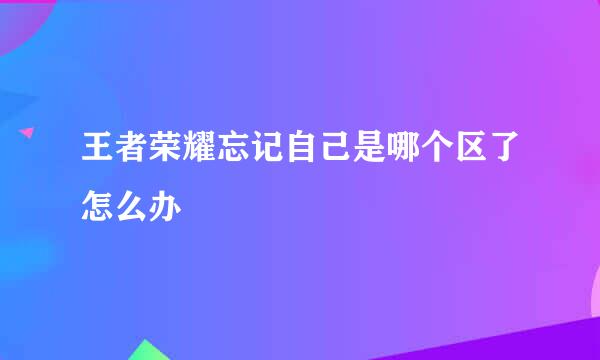 王者荣耀忘记自己是哪个区了怎么办