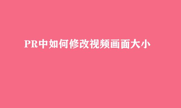 PR中如何修改视频画面大小