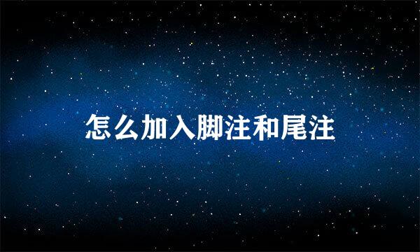 怎么加入脚注和尾注