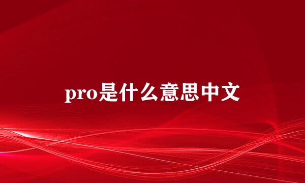 pro是什么意思中文