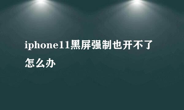 iphone11黑屏强制也开不了怎么办