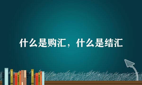什么是购汇，什么是结汇