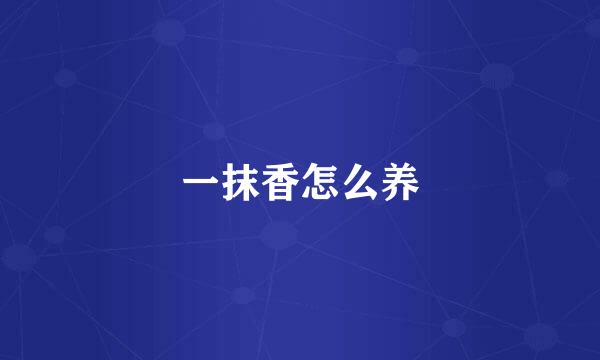 一抹香怎么养
