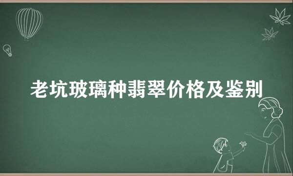 老坑玻璃种翡翠价格及鉴别
