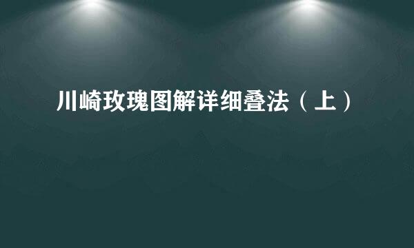川崎玫瑰图解详细叠法（上）