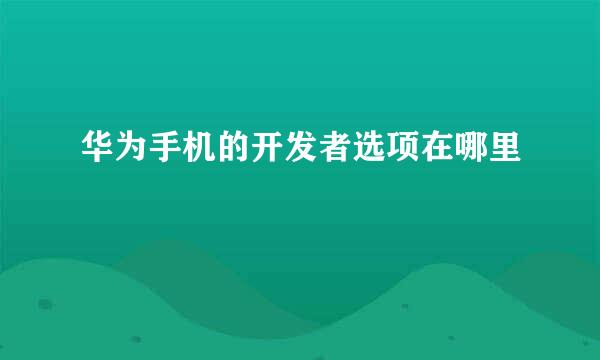 华为手机的开发者选项在哪里